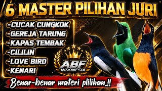 Download lagu 100% Materi pilihan ! MASTERAN MURAI BATU,KACER,CUCAK HIJAU FUL TEMBAKAN‼️ mp3
