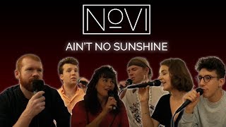 Ain&#39;t No Sunshine | NoVI A Cappella Looping Cover (LIVE)