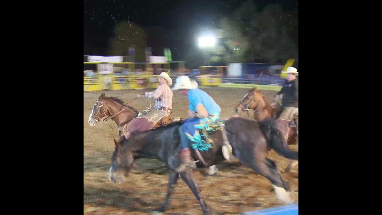 Crows Nest Rodeo — Saddle Bronc