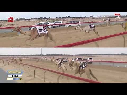  ش 15 (فنون) لـ هجن ام الزبار 7:13:67 ، ختامي المرموم 2026/03/26 لقايا