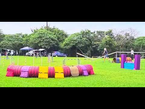 Bruno - Contact - 25-02-23