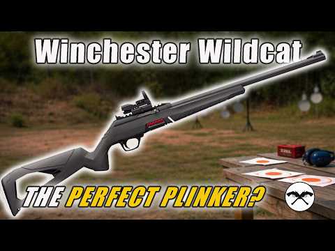 Winchester Wildcat 22 Rifle Review- Budget Friendly Blaster!