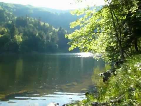 comment renforcer les berges d'un etang