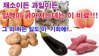 채소이든, 과일이든 알맹이 굵어지는데는 이 비료!!! 그 외 하는 일도 이 기회에 확실히 알아두자. (비료의…