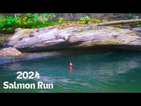 King Salmon BOBBER DOWNS + Hardware Strikes! - HOW TO GET THEM TO BITE