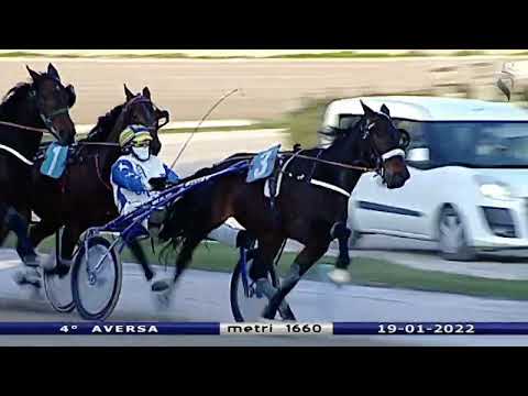 Aversa trotto 19 Gennaio 2022 - 4° Corsa