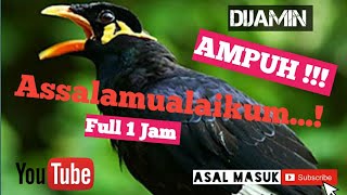 Download lagu MASTERAN BEO ASSALAMUALAIKUM SATU KATA FULL 1 JAM....mp3