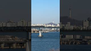 꽁꽁 얼어붙진 않은 올겨울 한강 #한강 #서울 #shorts