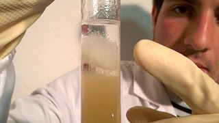 Come estrarre il DNA dalla banana - Laboratorio in Casa