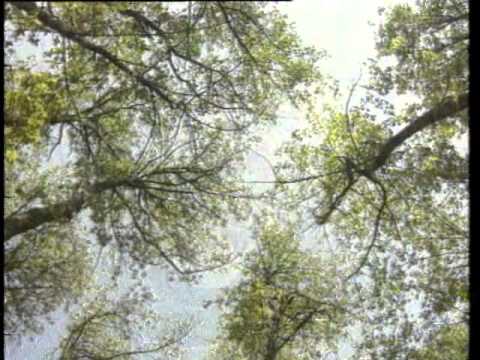 Dağlar Dağlar - Barış Manço