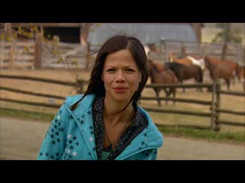 Flicka 2 trailer shot of arena show ring under bright daylight during the finale