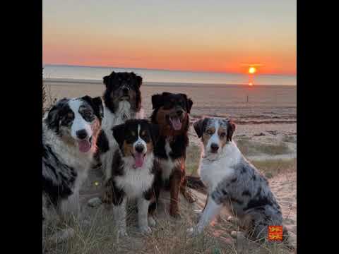 Gastvideo "5 Aussies in der Normandie":  Ferienhaus "Escale de Mer", Port-Bail-sur-Mer