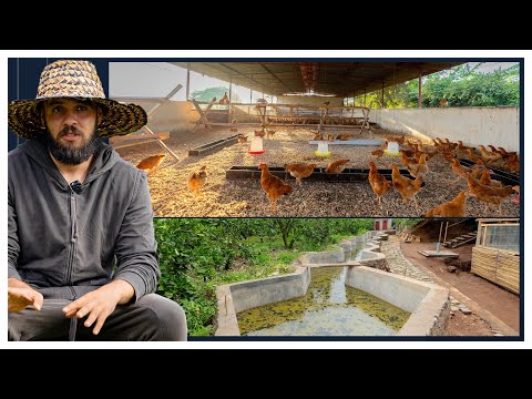 canberra_hero_image_JiMVvYU