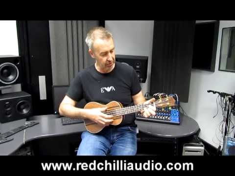 Snail UKC T483 ebony Concert Ukulele