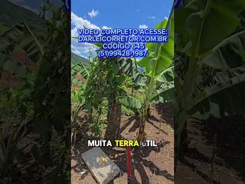 [645]SÍTIO EM TRÊS FORQUILHAS 47HA ESCRITURA CASA 7 QUARTOS PASTO E AÇUDE R$ 1,7 MI #CHACARA #SITIO