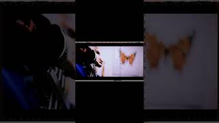 【#盗作】【#ヨルシカ】【#shorts】【#永久機関】  #盗作 #ヨルシカ  プロフよりYouTube fullへ飛べます！ #初音ミク #anime  #hatsunemiku