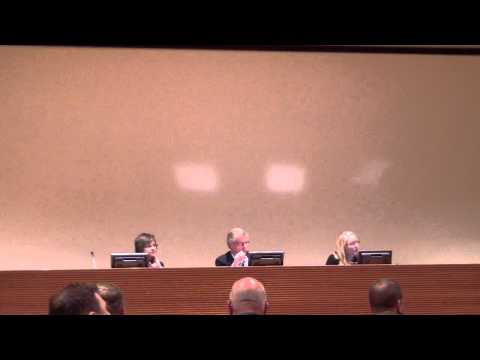 Mitä on hyvä aseturvallisuus - Keskustelu ja kuulemistilaisuus - osa12