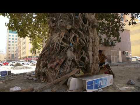 !f İstanbul 2016 - Geri Sayım / Counting