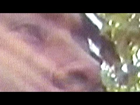 Video thumbnail BIAOCIaSdTA