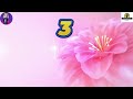 Mungaru Maleyalli Kannada Karaoke Song From Andondittu Kaala