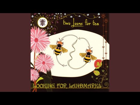 Looking For Landmarks