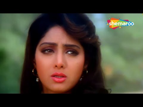 Dil Deewana Dhoondh Raha Hai | Chand Ka Tukda (1994) | Salman Khan | Sridevi | Bollywood Sad Songs