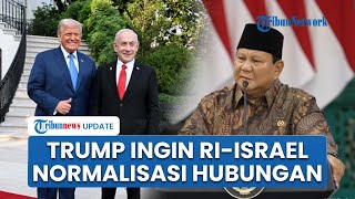 Media Asing Sebut Trump 'Incar' Indonesia & Arab Saudi Segera Normalisasikan Hubungan dengan Israel
