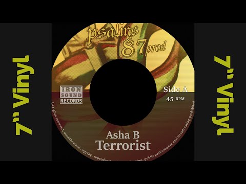 Asha B (feat: Alien Dread) - Terrorist + Dub (promo) 2017 / Iron Sound Records
