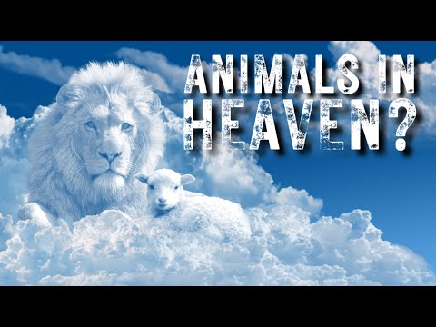 God's Relationship With Animals | Genesis 1:24-25