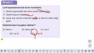 Eğitim Vadisi 11.Sınıf Biyoloji 13.Föy Lenf Sistemi Konu Anlatım Videoları