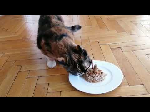 İyiki doğdun Yumak