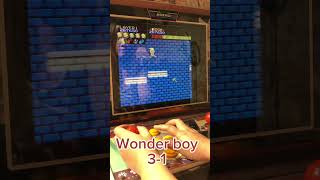 Wonder Boy - Skateboarding Crazy!! (1986)