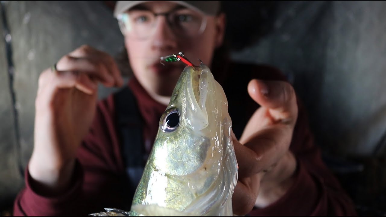 Hammering Roaming Walleyes! (South Basin - Lake Winnipeg)