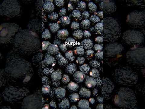 Discover the Mighty Maqui Berry Nature's Antioxidant Powerhouse!