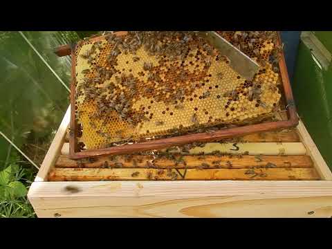 De TBH en de Topkast (verschillen en voordelen van de Topkast)