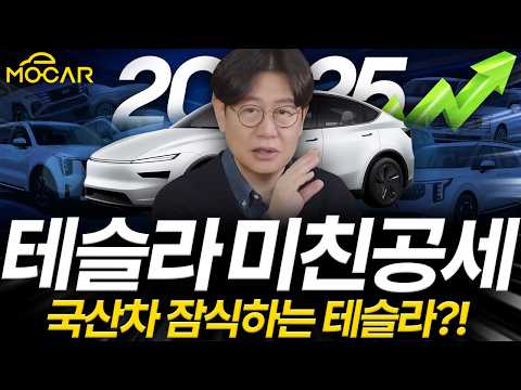 2025년 국산차 판매 최종 순위, K양극화 심화에 고전…테슬라 미친듯한 공세까지