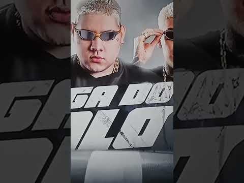 mega do galo 2 gordão do pc ,DJ Gui marques,mc