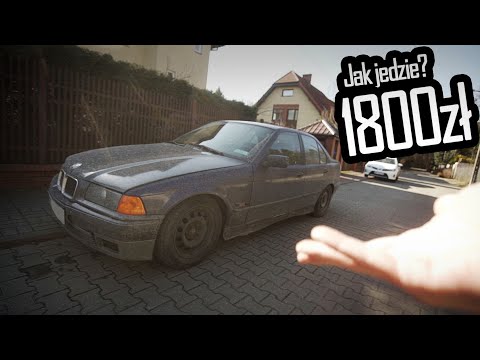 Kupiliśmy e36...Znowu xD - 2 litry, Gwint, Hydro, Szpera - EP 55