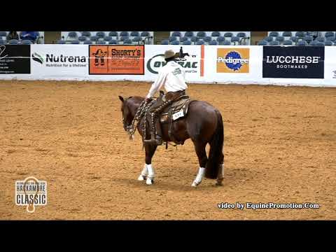 Opus Cat Olena ridden by Matt J  Koch   2018 Snaffle Bit Futurity Open Hackamore Classic