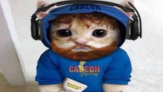 Top 5 CaseOh Crashout