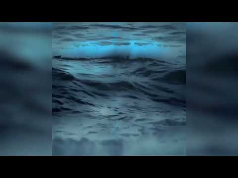 The Waves - Claire Wyndham