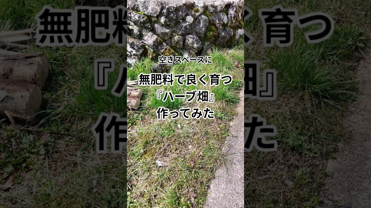 糸状菌を使ったハーブ畑