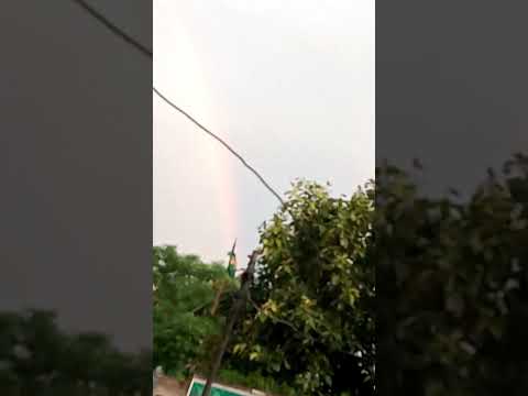 Rainbow 🌈✨ #shorts