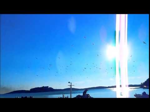 Discover Dalmatia #3 Hvar Island