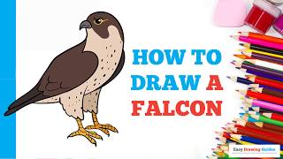 How to Draw a Falcon in a Few Easy Steps: Drawing Tutorial for Beginner Artists