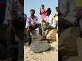 Road Cross Panum Pothu Pesatha CellPhone La Tamil Gana Songs Sun Music RouteThala Shorts