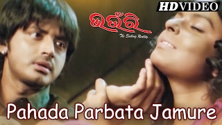 Romantic Film PAHADA PARBATA JAMURE BHAUNRI I Arindam, Bidita, Amit, Ipsita Sidharth TV