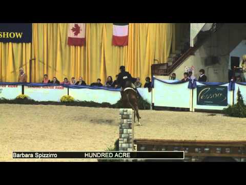 579 HUNDRED ACRE Barbara Spizzirro, Class 231 Round 2 NAL Adult Hunter Finals