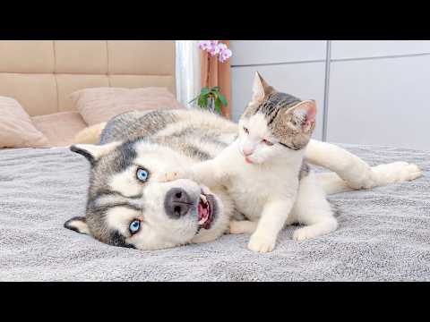 YouTube 썸네일