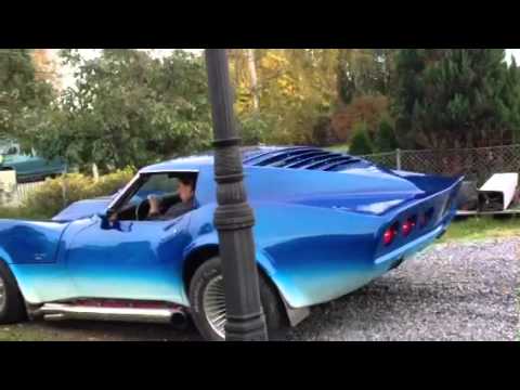 Puffran fast as a shark